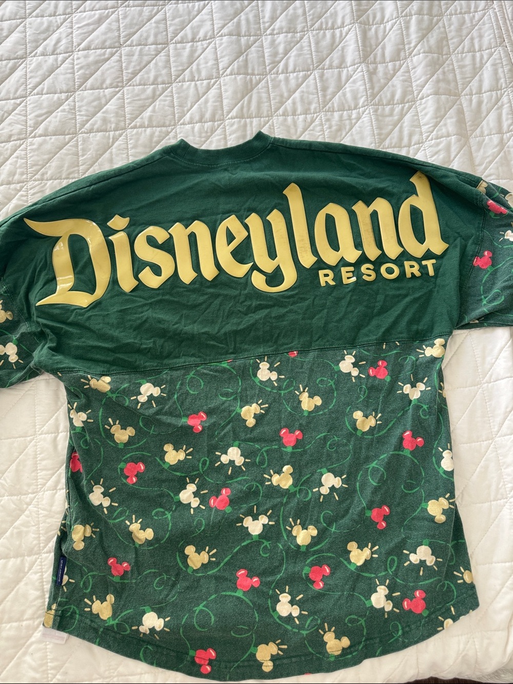 Disney Holiday Spirit Jersey